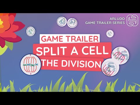 Split A Cell