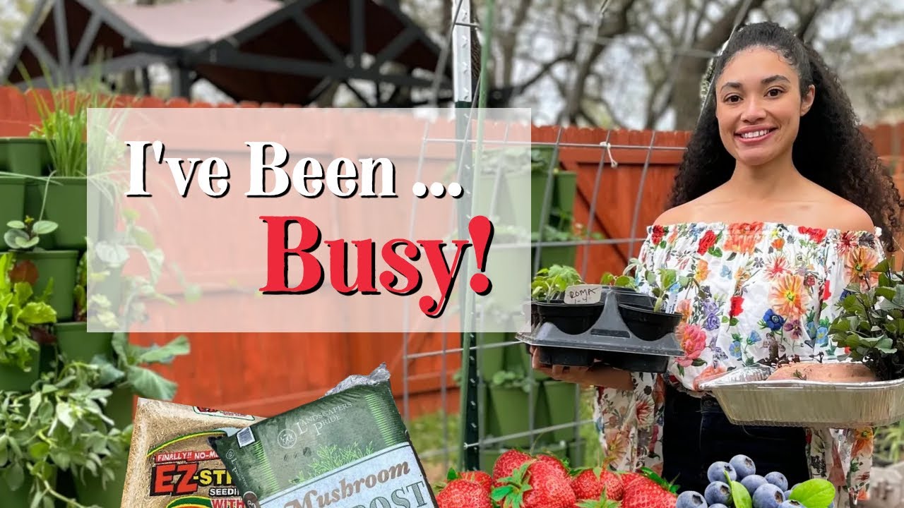 Epic Spring Garden Plans!