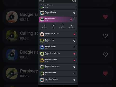 Parakeet Sounds Video