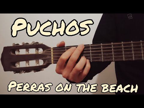 Como tocar Puchos de Perras on the beach en guitarra (FACIL Y RAPIDO)