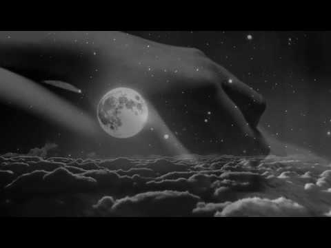 Mirel Wagner : goodnight