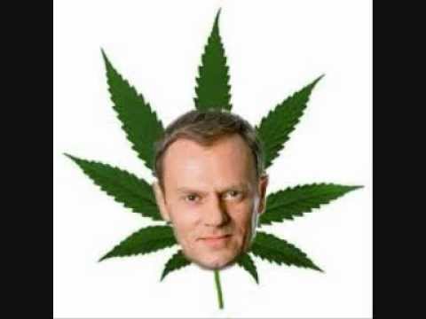 ,,Narkotyki" Vj Dominion'a od tyłu