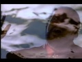 BARRY WHITE - WHEN  WILL I SEE YOU AGAIN- VIDEO CLIP