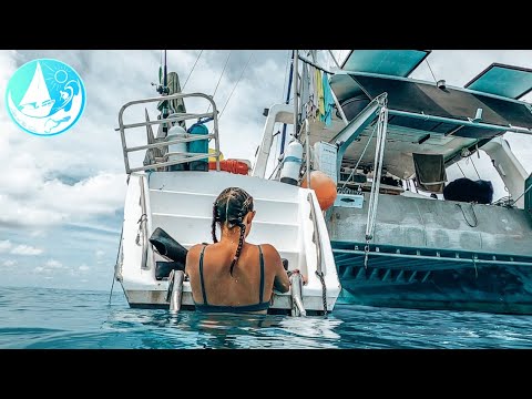 Living on our dream boat A 50 foot aluminium Catamaran Episode 297