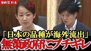 【参政党】〇国に盗まれる日本の品種 日本の農家さんを守らない無能大臣にブチギレ【高市早苗】【神谷宗幣】【杉本純子】#参政党 #記者会見 #神谷宗幣  #政治 #国政  #日本の政治