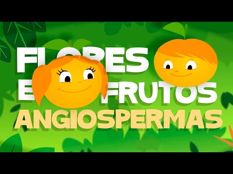 🌼 FLORES E FRUTOS: ANGIOSPERMA 👩‍🏫 l Aprenda com Luna - O Show da Luna!