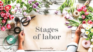 Stages of labor - active labor, pushing, and the placenta