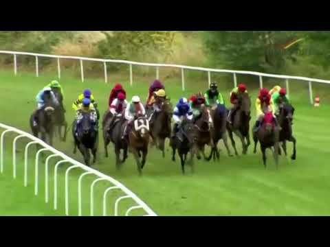 Preis der Bad Harzburg Card - Superhandicap 2018