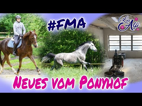 Lia & Alfi - Neues vom Ponyhof - FMA