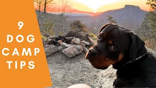 Overland & Car Camping With A Dog