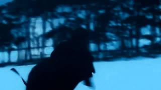 Videoklipy interpreta 	Lykke Li 	