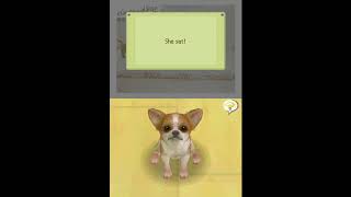 Nintendogs how to name dog and teach sit