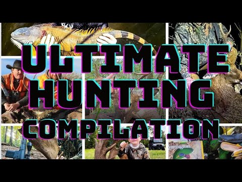 20 Shots in 20 Minutes! (ULTIMATE Hunting Compilation)