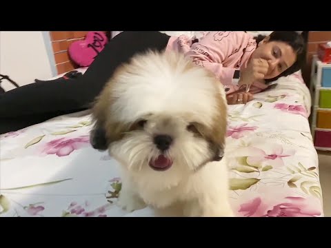 Meet WORLDs CUTEST DOG | Ss Vlogs :-)