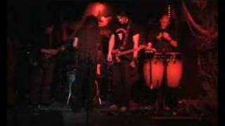 7 days awake - Mitschnitt im Wild at Heart