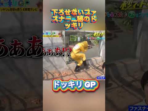 下ろせないファスナー…秘のドッキリ#菊池風磨 #ドッキリgp #金の像  #ダウンタウン #テレビ #いいね