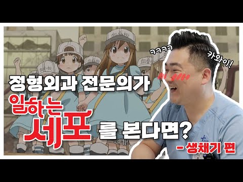 아이콘