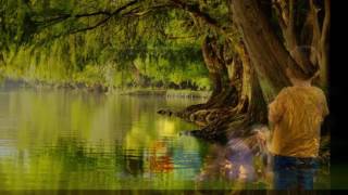 I Shall Not Be Moved