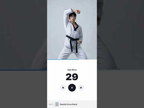 Taekwondo Kicks Training