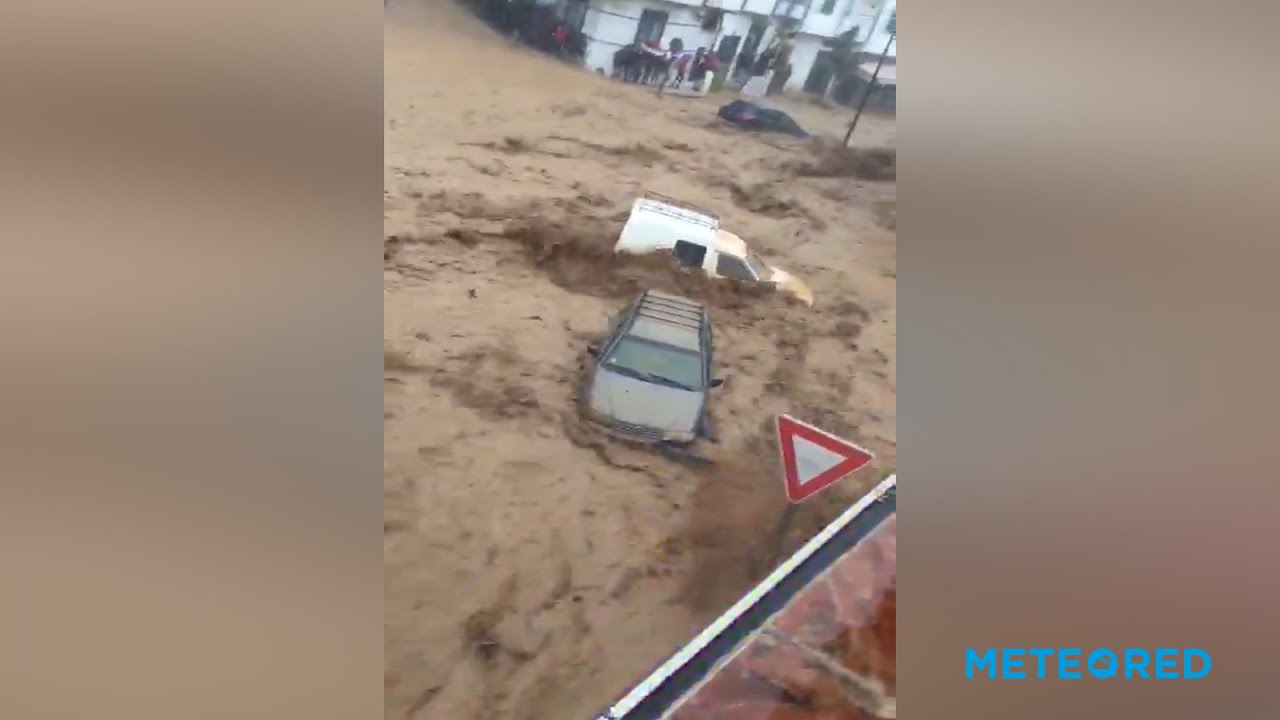 youtube video id=WEIm53CJJq4