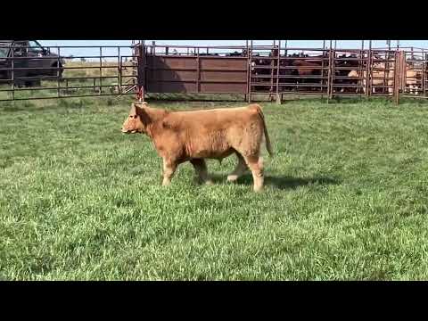 Tag 16 video
