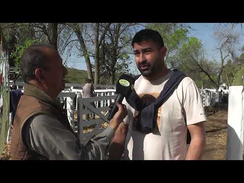 1° BLOQUE, CAPÍTULO 1206, EL SENTIR PATAGÓNICO HD, CANAL RURAL BUENOS AIRES...