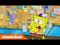 SpongeBob SquarePants | Het gemeenschapsprikbord | Nickelodeon Nederlands