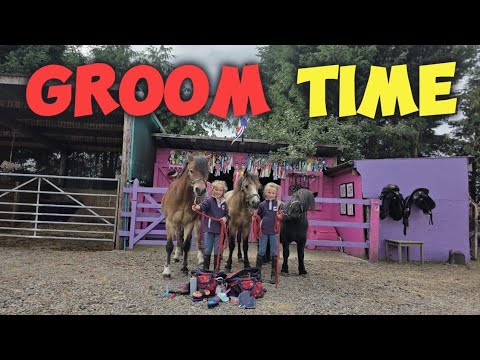 „Pony-Wellnesstag: Die Zwillinge pflegen alle 3 Ponys!“ 🐴✨