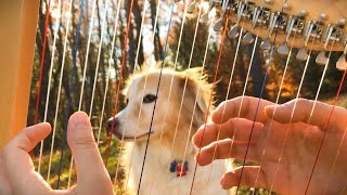 Hallelujah on a Harp - Leonard Cohen Tribute