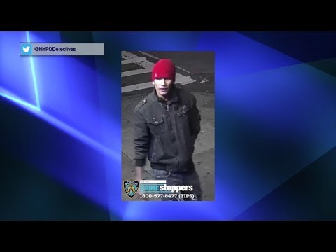 New York City Man In Custody