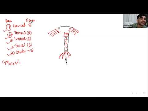 nervous system part 3 |cee lecture |by milan ghaire sir