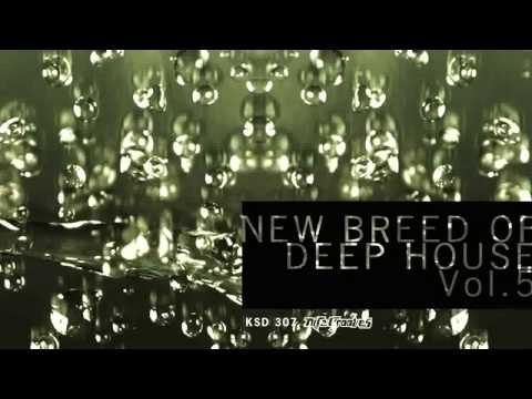 Less Hate, Inner Rebels - Looking At You (Patrick Podage Remix)