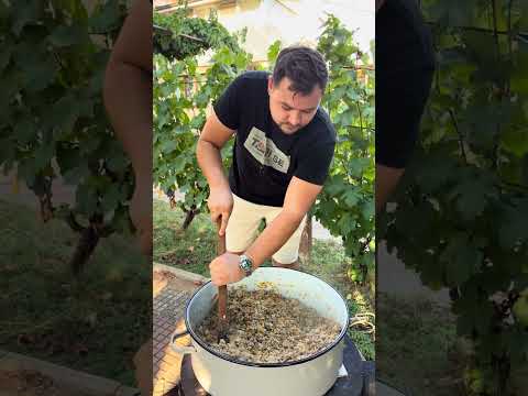 Bolonjeze za zimnicu 🍝 Kuvam 3+ sata, a kasnije imam domaći obrok za 15 minuta! 👌