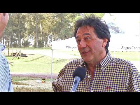 Cabaña “EL SEÑUELO” de Faggiani realizó su Octavo Remate Anual