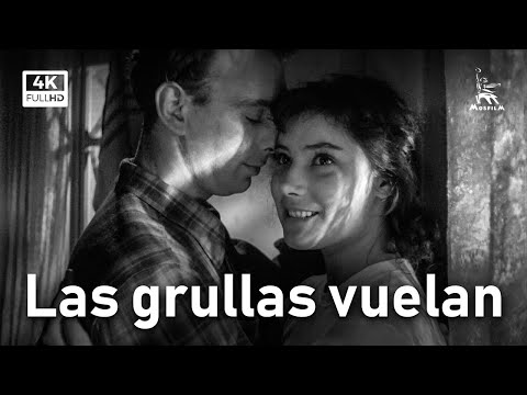 The Cranes are Flying | DRAMA | with Spanish subtitles