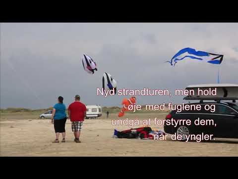 Nationalpark Vadehavet