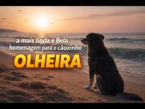 Music - Tribute to Orelha, a dog victim of cruelty.