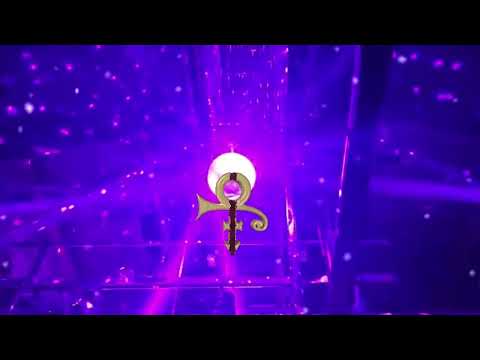 SOLD OUT! performance “Purple Rain” ~ Rohn Lawrence’s “Still in the Ville Foundation” @ Toad’s Place