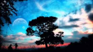 CJ Stone - Fallen Star [ Lavkastor Vocal Remix ]