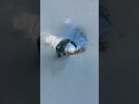 2025.02.20夏油高原スキー場ツリーランエリアパウダー状況　#mosssnowstick #insta360x2 #japow