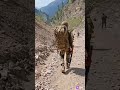Tera Mera Mera Tera Ki Rista Ve Status Video Army