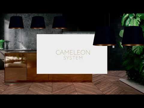 Cameleon System made in Poland