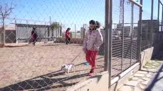 preview picture of video 'Curso de adiestramiento canino en Los Infiernos 02'