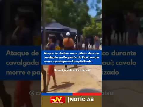 ataque de abelhas em cavalgada em boqueirão do Piauí  #ataque #abelhas #boqueirão #piaui
