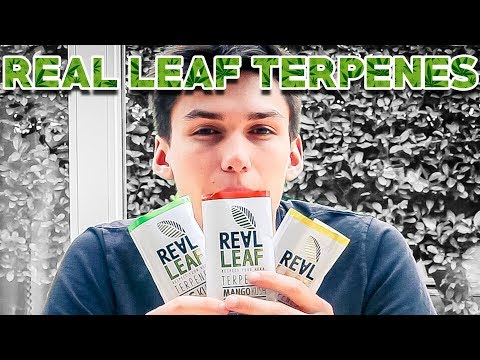 Ist REAL LEAF TERPENES noch besser?