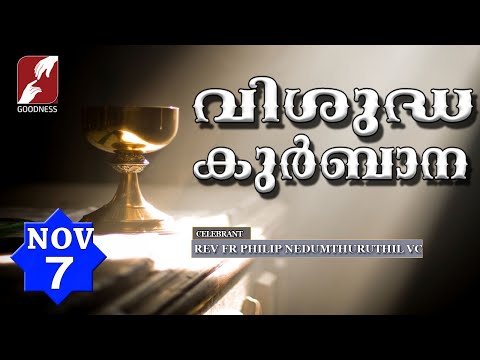 HOLY MASS LIVE @ 6 AM, 7-NOV-2025|FR PHILIP NEDUMTHURUTHIL VC|MALAYALAM QURBANA|TODAY MASS|GOODNESS