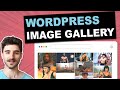 Envira Gallery Tutorial WordPress Image Gallery Plugin