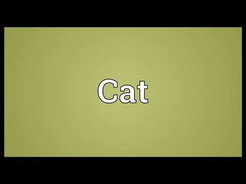 CAT Meaning