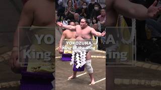 Download lagu Yokozuna, the Pinnacle of Sumo mp3
