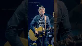 Noel Gallagher &#39;If I Had a Gun&#39; live performance 🎵 #noelgallagher #livemusic #concert